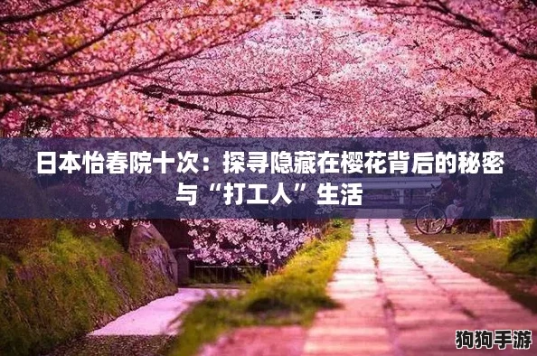 日本怡春院十次：探寻隐藏在樱花背后的秘密与“打工人”生活
