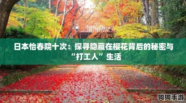 日本怡春院十次:探寻隐藏在樱花背后的秘密与“打工人”生活 日本怡春院十次:探寻隐藏在樱花背后的秘密与“打工人”生活