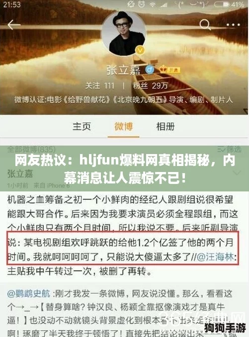 网友热议：hljfun爆料网真相揭秘，内幕消息让人震惊不已！