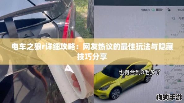 电车之狼r详细攻略：网友热议的最佳玩法与隐藏技巧分享
