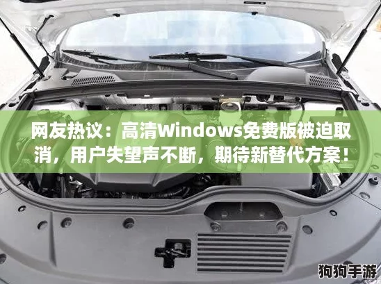 网友热议：高清Windows免费版被迫取消，用户失望声不断，期待新替代方案！