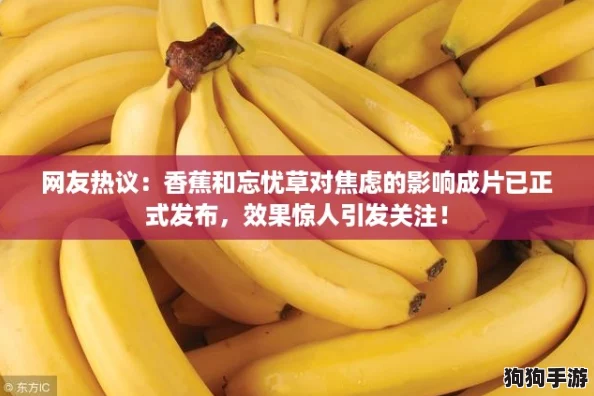 网友热议：香蕉和忘忧草对焦虑的影响成片已正式发布，效果惊人引发关注！