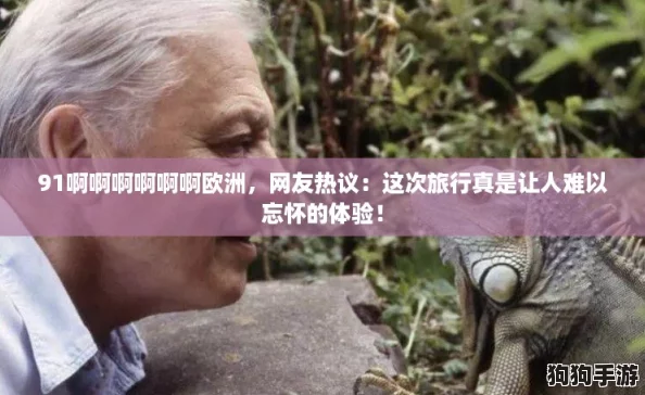 91啊啊啊啊啊啊欧洲，网友热议：这次旅行真是让人难以忘怀的体验！