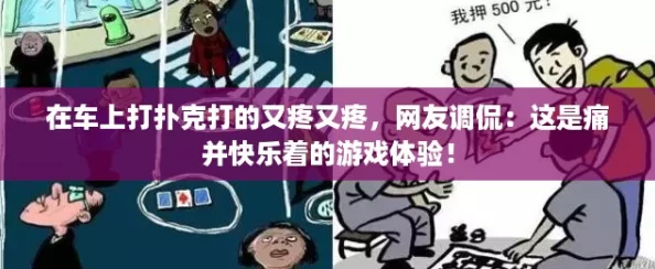 在车上打扑克打的又疼又疼，网友调侃：这是痛并快乐着的游戏体验！