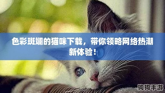 色彩斑斓的猫咪下载,带你领略网络热潮新体验! 色彩斑斓的猫咪下载,带你领略网络热潮新体验!