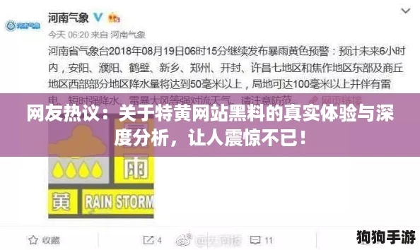 网友热议：关于特黄网站黑料的真实体验与深度分析，让人震惊不已！