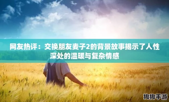 网友热评：交换朋友麦子2的背景故事揭示了人性深处的温暖与复杂情感