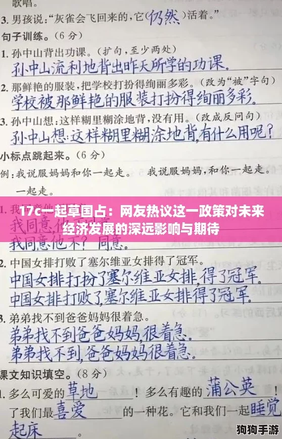 17c一起草国占：网友热议这一政策对未来经济发展的深远影响与期待
