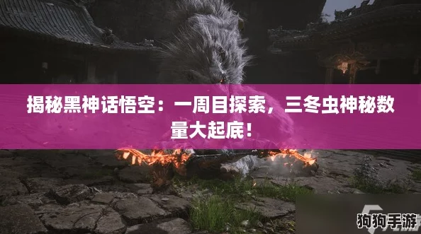 揭秘黑神话悟空：一周目探索，三冬虫神秘数量大起底！