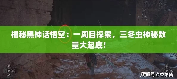 揭秘黑神话悟空：一周目探索，三冬虫神秘数量大起底！