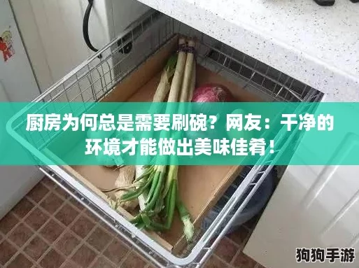 厨房为何总是需要刷碗?网友:干净的环境才能做出美味佳肴! 厨房为何总是需要刷碗?网友:干净的环境才能做出美味佳肴!