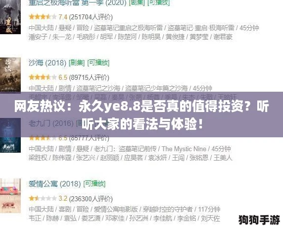 网友热议：永久ye8.8是否真的值得投资？听听大家的看法与体验！