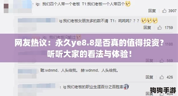 网友热议：永久ye8.8是否真的值得投资？听听大家的看法与体验！