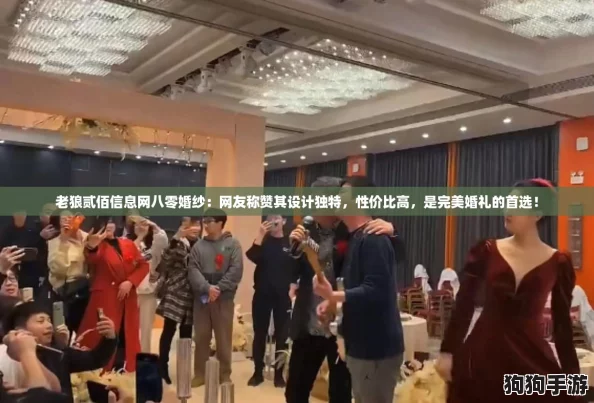 老狼贰佰信息网八零婚纱：网友称赞其设计独特，性价比高，是完美婚礼的首选！