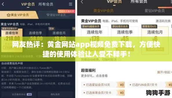 网友热评：黄金网站app视频免费下载，方便快捷的使用体验让人爱不释手！
