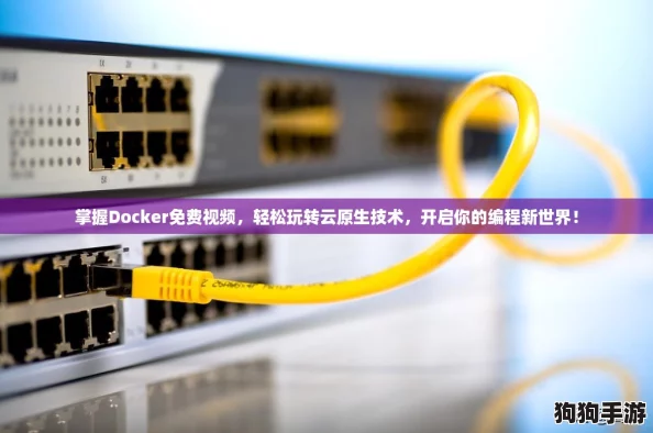 掌握Docker免费视频，轻松玩转云原生技术，开启你的编程新世界！