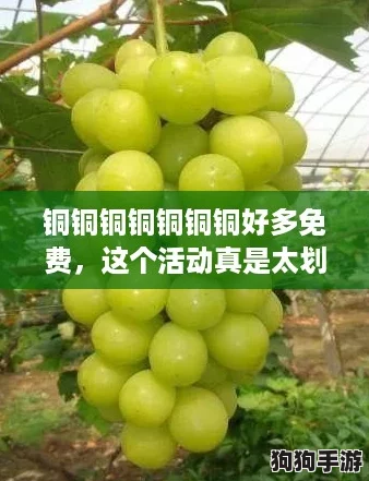 铜铜铜铜铜铜铜好多免费，这个活动真是太划算了，快来一起参与吧！