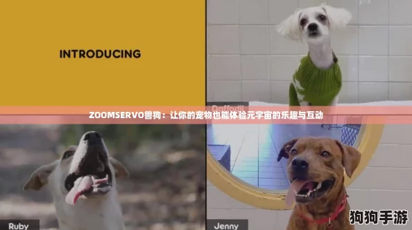 ZOOMSERVO兽狗：让你的宠物也能体验元宇宙的乐趣与互动