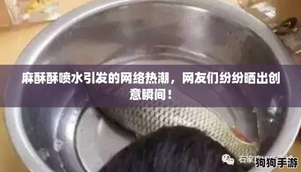 麻酥酥喷水引发的网络热潮，网友们纷纷晒出创意瞬间！