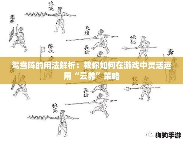 鸳鸯阵的用法解析：教你如何在游戏中灵活运用“云养”策略