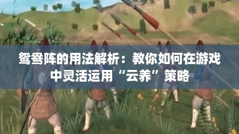 鸳鸯阵的用法解析：教你如何在游戏中灵活运用“云养”策略