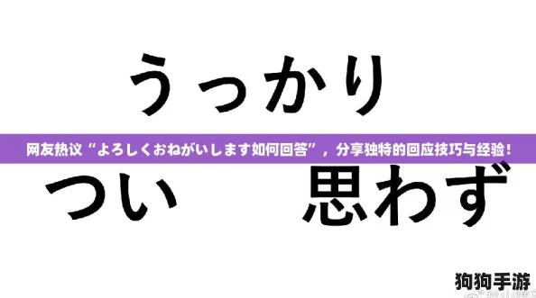 网友热议“よろしくおねがいします如何回答”，分享独特的回应技巧与经验！