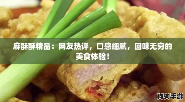 麻酥酥精品：网友热评，口感细腻，回味无穷的美食体验！