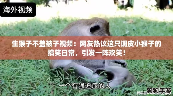 生猴子不盖被子视频：网友热议这只调皮小猴子的搞笑日常，引发一阵欢笑！