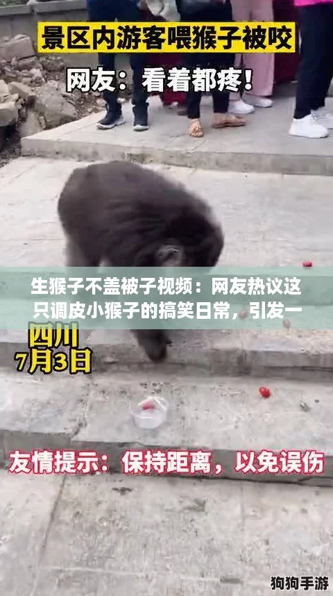 生猴子不盖被子视频:网友热议这只调皮小猴子的搞笑日常,引发一阵欢笑! 生猴子不盖被子视频:网友热议这只调皮小猴子的搞笑日常,引发一阵欢笑!