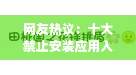 网友热议：十大禁止安装应用入口，揭示了哪些潜在风险与隐患？
