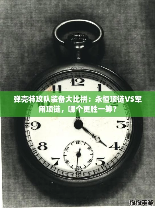 弹壳特攻队装备大比拼：永恒项链VS军用项链，哪个更胜一筹？
