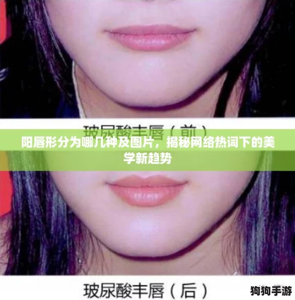 阳唇形分为哪几种及图片，揭秘网络热词下的美学新趋势