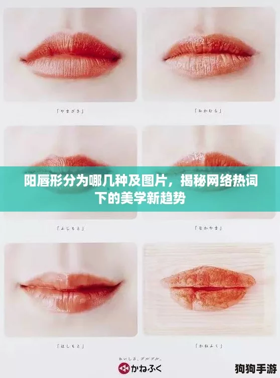 阳唇形分为哪几种及图片,揭秘网络热词下的美学新趋势 阳唇形分为哪几种及图片,揭秘网络热词下的美学新趋势