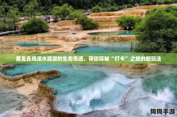 黄龙直捣溪水潺潺的生态奇迹,带你探秘“打卡”之旅的新玩法 黄龙直捣溪水潺潺的生态奇迹,带你探秘“打卡”之旅的新玩法