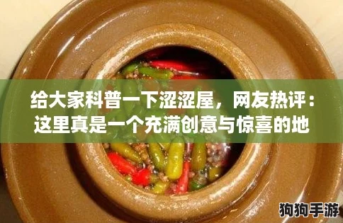 给大家科普一下涩涩屋，网友热评：这里真是一个充满创意与惊喜的地方！