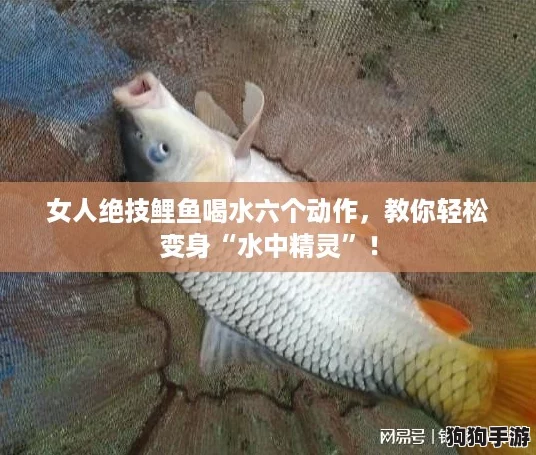 女人绝技鲤鱼喝水六个动作，教你轻松变身“水中精灵”！