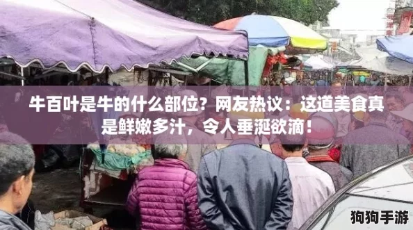 牛百叶是牛的什么部位？网友热议：这道美食真是鲜嫩多汁，令人垂涎欲滴！