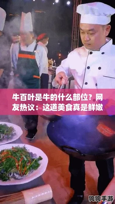 牛百叶是牛的什么部位?网友热议:这道美食真是鲜嫩多汁,令人垂涎欲滴! 牛百叶是牛的什么部位?网友热议:这道美食真是鲜嫩多汁,令人垂涎欲滴!