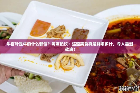 牛百叶是牛的什么部位?网友热议:这道美食真是鲜嫩多汁,令人垂涎欲滴! 牛百叶是牛的什么部位?网友热议:这道美食真是鲜嫩多汁,令人垂涎欲滴!