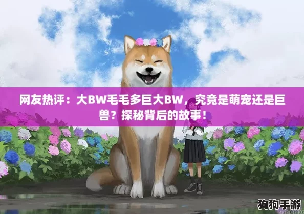 网友热评：大BW毛毛多巨大BW，究竟是萌宠还是巨兽？探秘背后的故事！