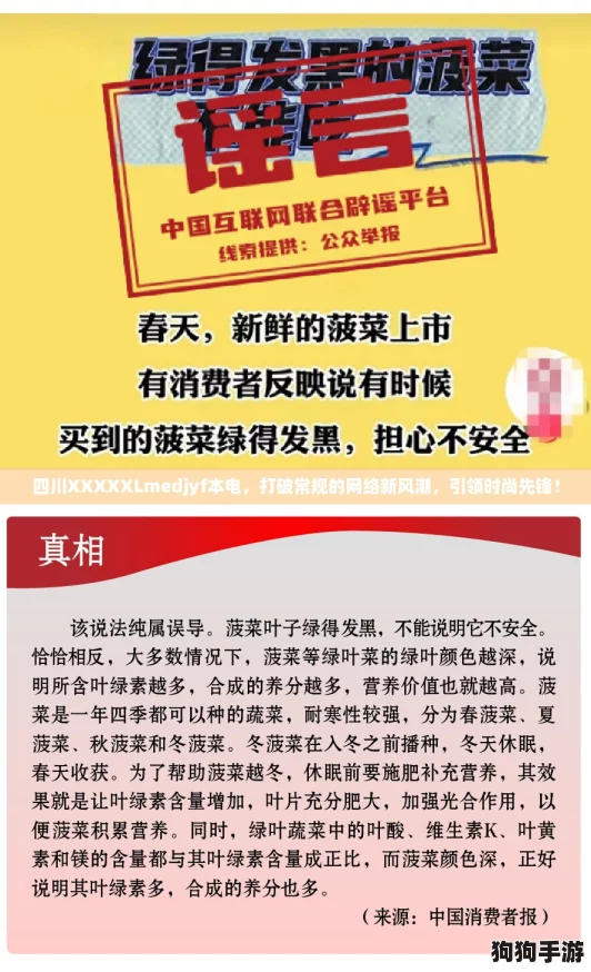 四川XXXXXLmedjyf本电,打破常规的网络新风潮,引领时尚先锋! 四川XXXXXLmedjyf本电,打破常规的网络新风潮,引领时尚先锋!