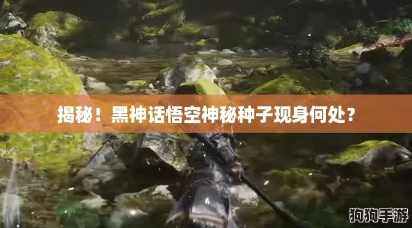 揭秘！黑神话悟空神秘种子现身何处？