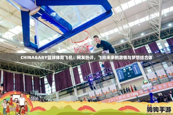 CHINAGARY篮球体育飞机：网友热评，飞向未来的激情与梦想结合体