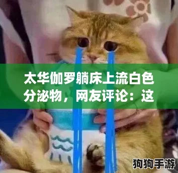 太华伽罗躺床上流白色分泌物,网友评论:这可能是身体健康的警示信号! 太华伽罗躺床上流白色分泌物,网友评论:这可能是身体健康的警示信号!