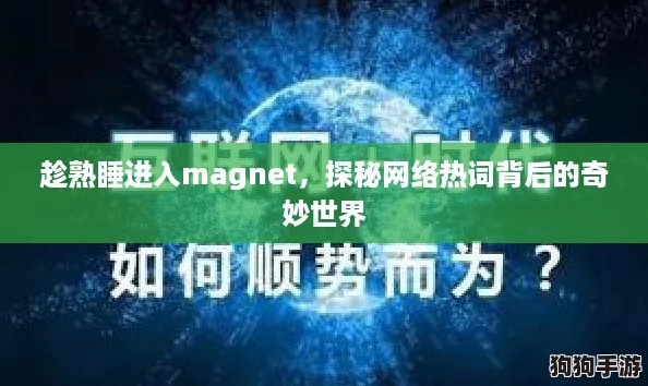趁熟睡进入magnet，探秘网络热词背后的奇妙世界