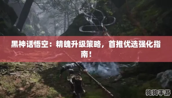 黑神话悟空：精魄升级策略，首推优选强化指南！