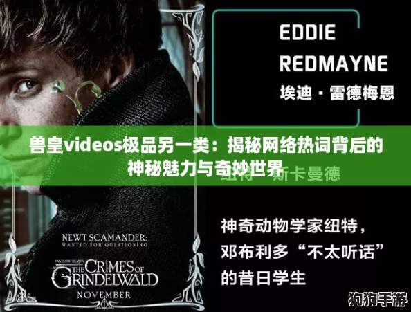 兽皇videos极品另一类：揭秘网络热词背后的神秘魅力与奇妙世界