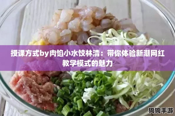 授课方式by肉馅小水饺林清：带你体验新潮网红教学模式的魅力