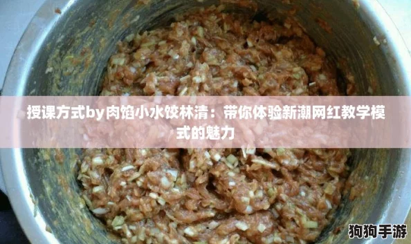 授课方式by肉馅小水饺林清:带你体验新潮网红教学模式的魅力 授课方式by肉馅小水饺林清:带你体验新潮网红教学模式的魅力