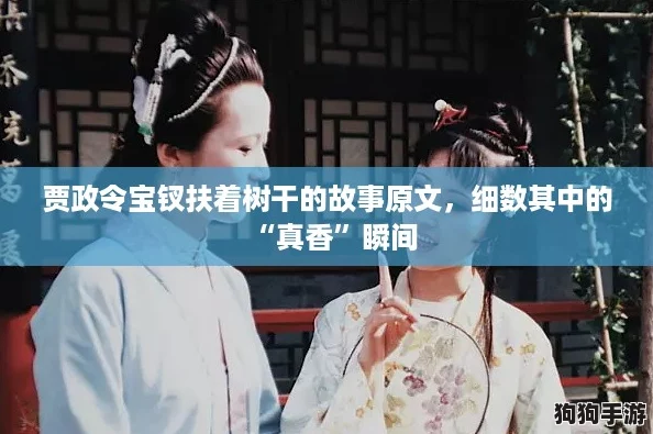 贾政令宝钗扶着树干的故事原文,细数其中的“真香”瞬间 贾政令宝钗扶着树干的故事原文,细数其中的“真香”瞬间